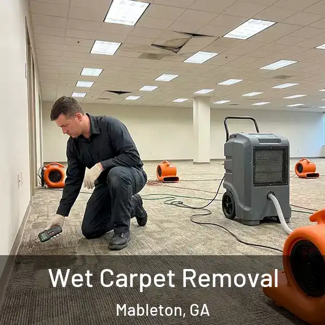 Wet Carpet Removal Mableton, GA